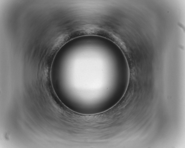 X0000099440018200805091323