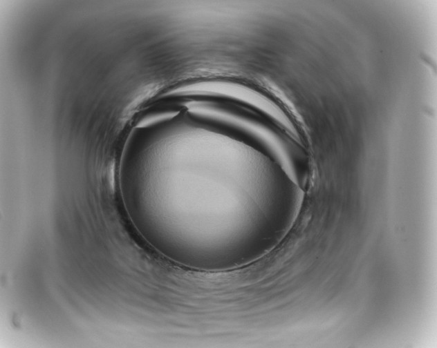 X0000099440019200805091323