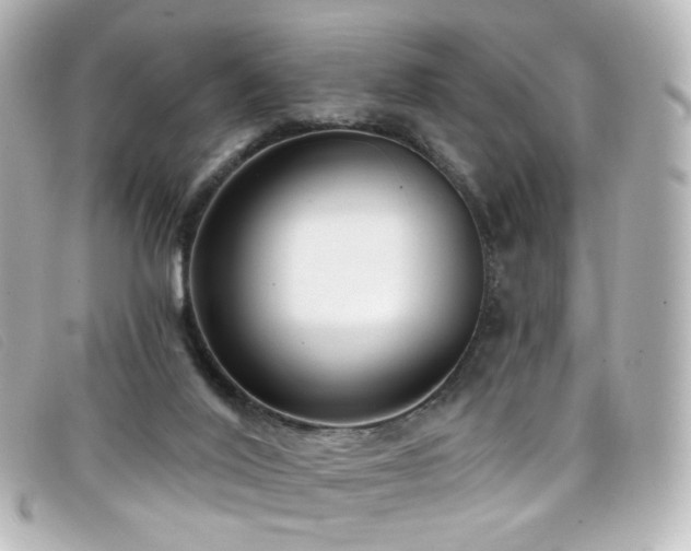 X0000099440020200805091323