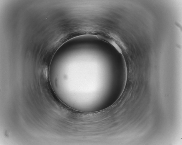 X0000099440021200805091323