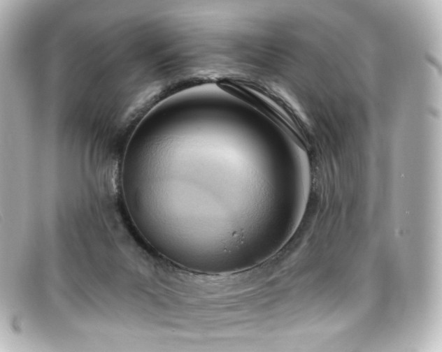 X0000099440023200805091323
