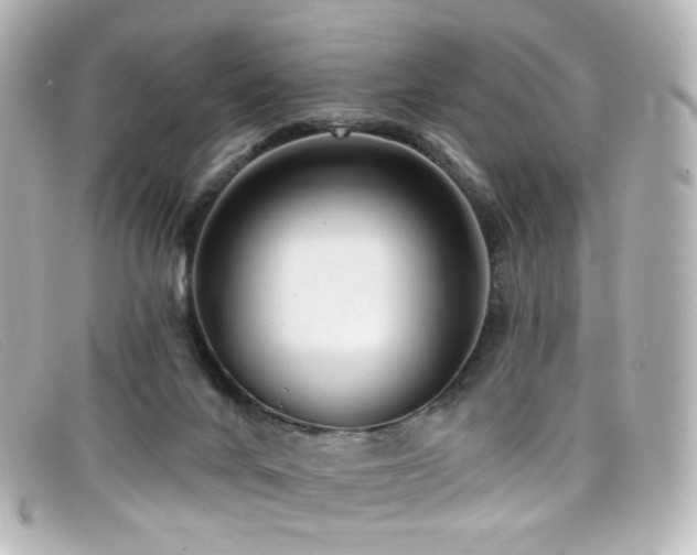 X0000099440024200805091323