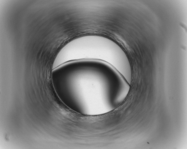 X0000099440025200805091323