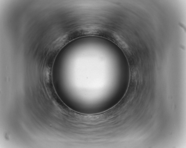 X0000099440026200805091323