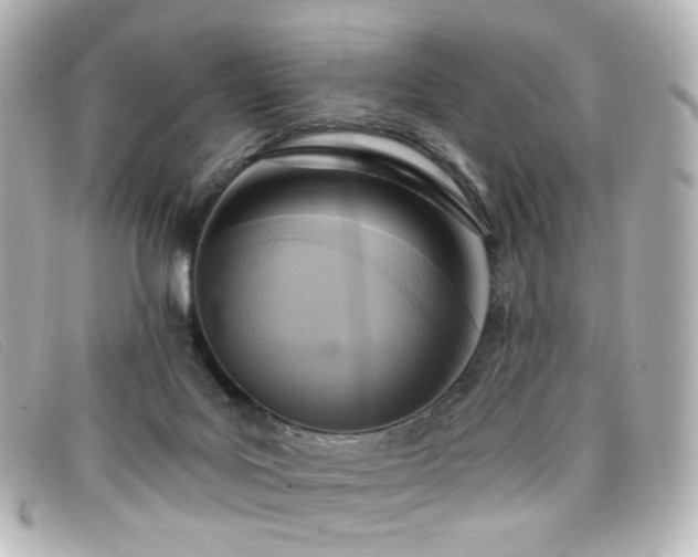 X0000099440027200805091323