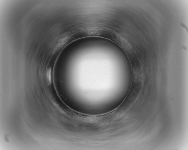 X0000099440028200805091323