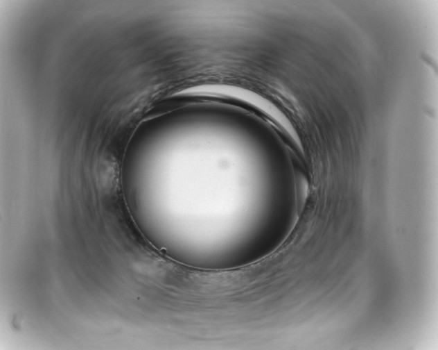 X0000099440029200805091322