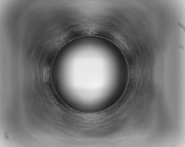X0000099440030200805091322