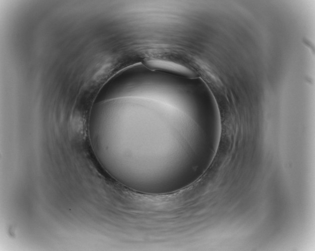 X0000099440031200805091322
