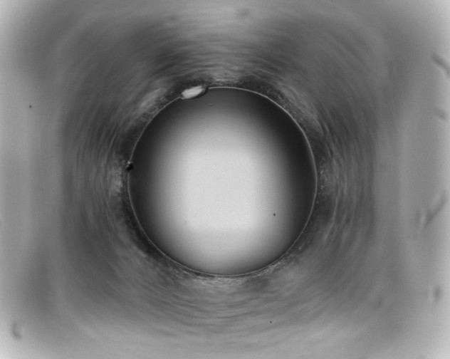 X0000099440032200805091322