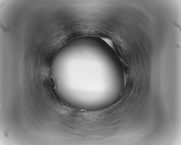 X0000099440033200805091322