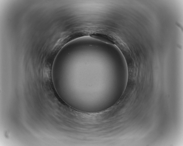 X0000099440035200805091322