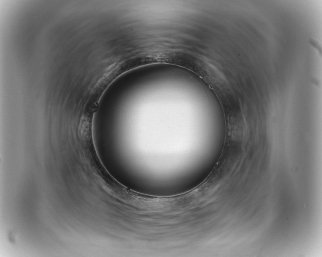 X0000099440036200805091322