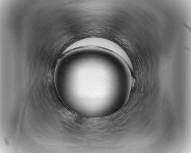 X0000099440037200805091322
