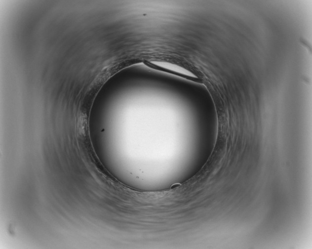 X0000099440038200805091322