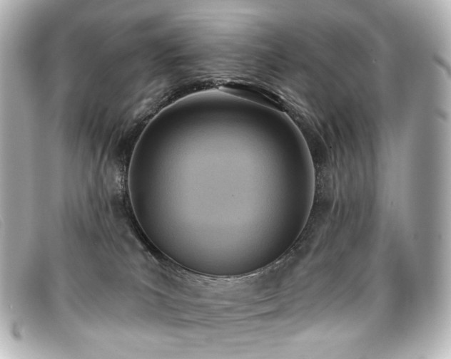 X0000099440039200805091322