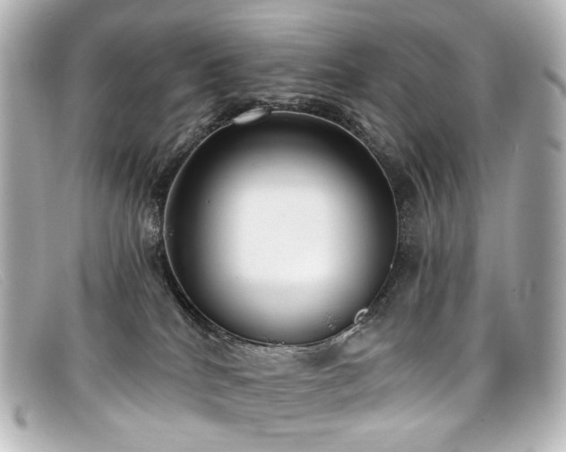 X0000099440040200805091322