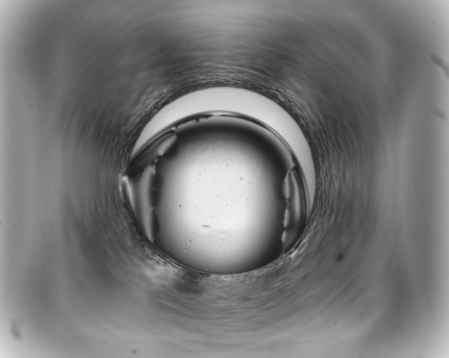 X0000099440041200805091322