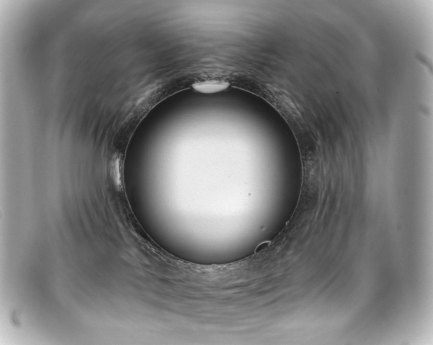 X0000099440042200805091322