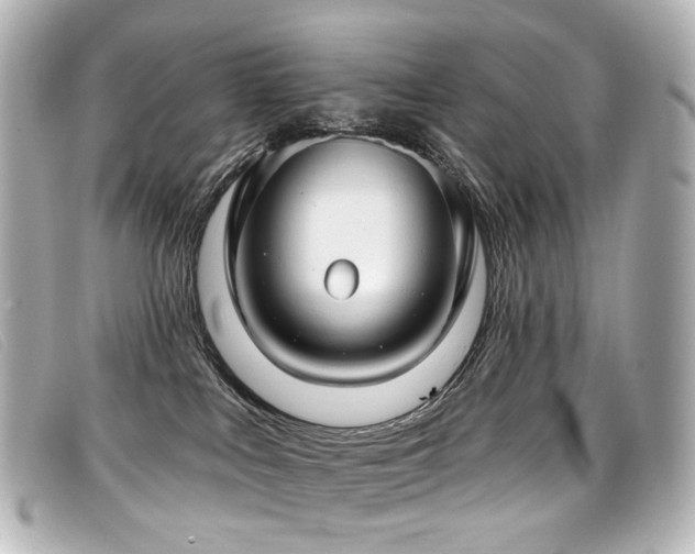 X0000099440043200805091322