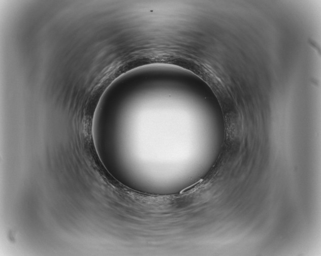 X0000099440044200805091322