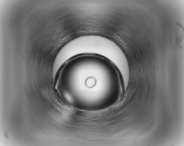 X0000099440045200805091322