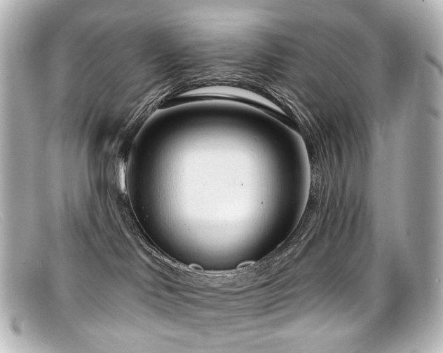 X0000099440046200805091322