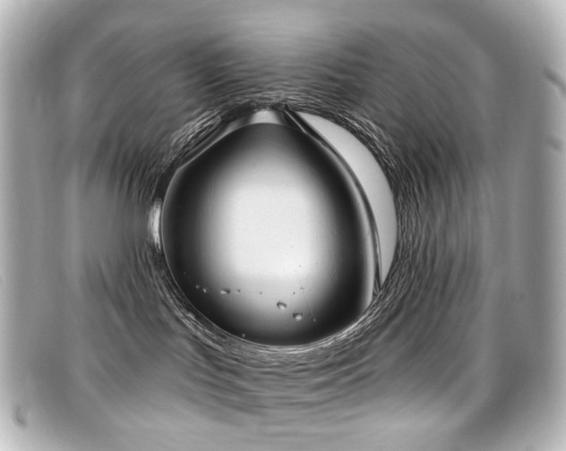 X0000099440047200805091322