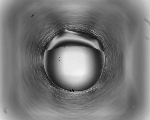 X0000099440048200805091322