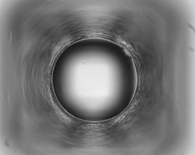 X0000099440049200805091322