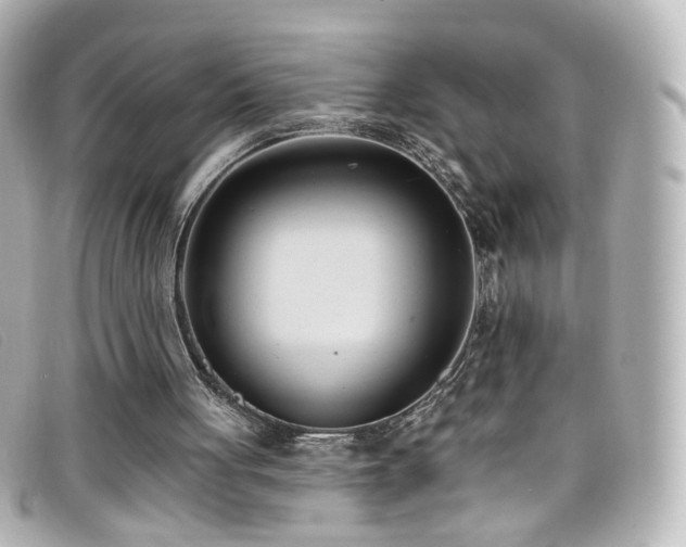 X0000099440051200805091322