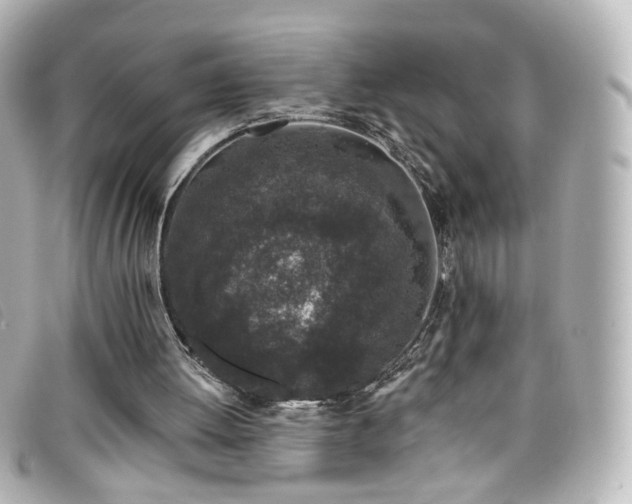 X0000099440052200805091322