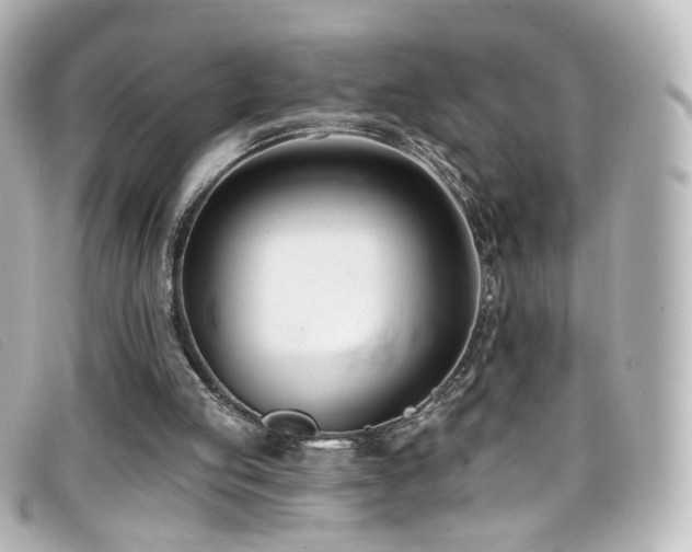 X0000099440053200805091322