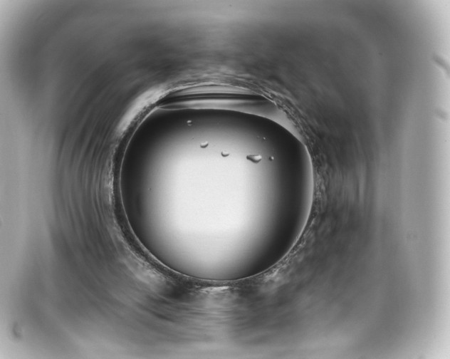 X0000099440054200805091322