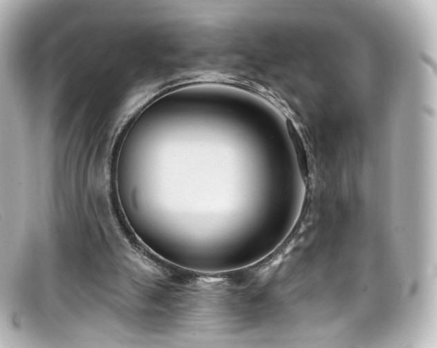 X0000099440055200805091322