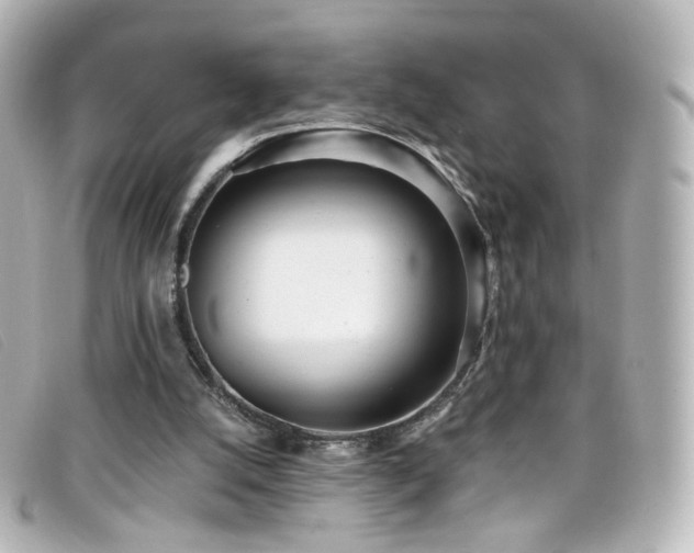 X0000099440056200805091322