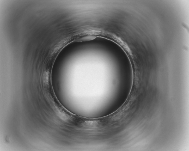 X0000099440057200805091322