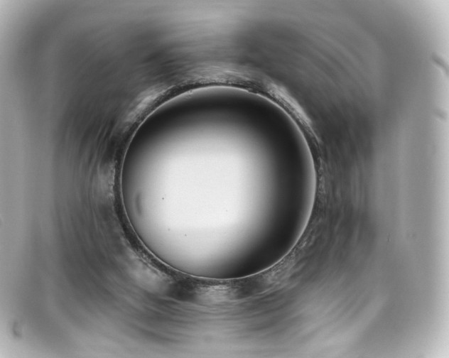 X0000099440058200805091322