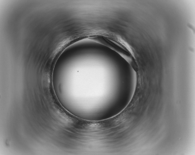 X0000099440059200805091322