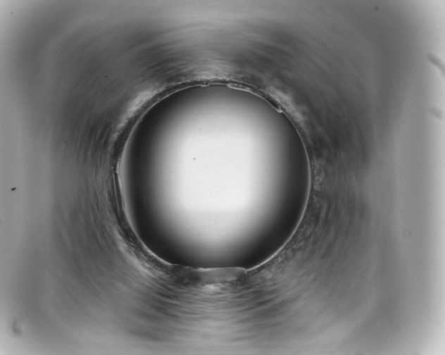X0000099440060200805091322