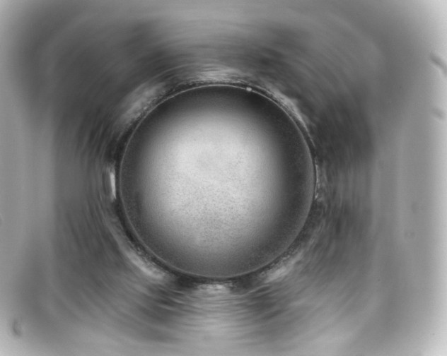 X0000099440061200805091322