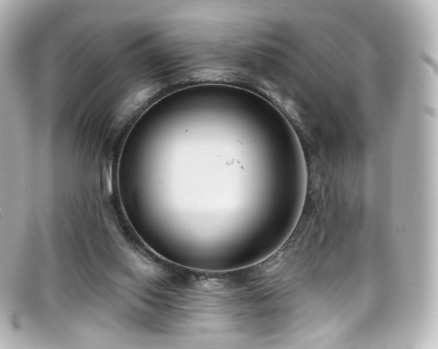 X0000099440062200805091322
