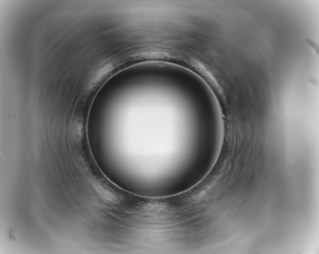 X0000099440063200805091322