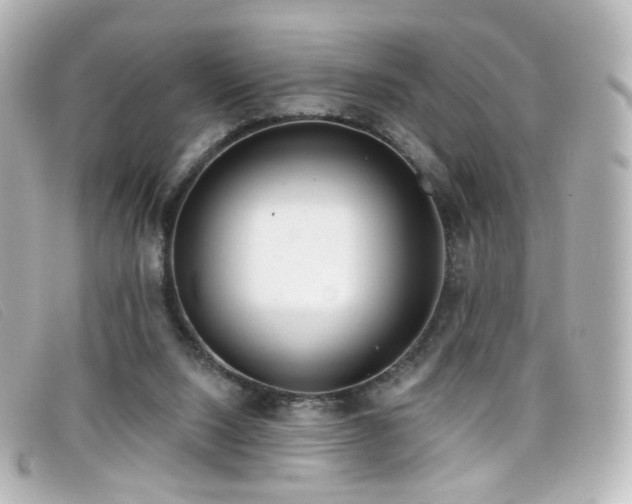 X0000099440064200805091322