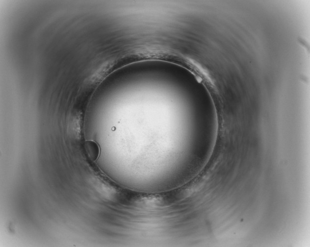X0000099440065200805091322