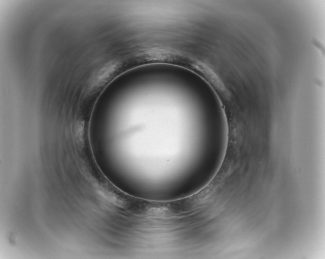X0000099440066200805091322
