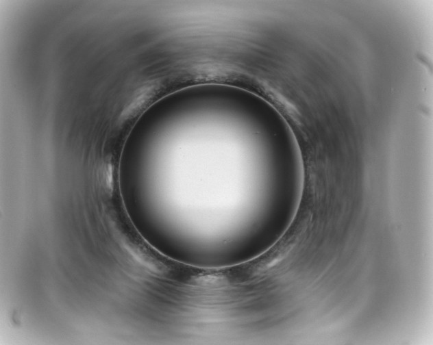 X0000099440067200805091322