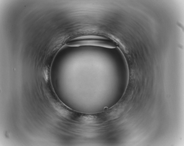 X0000099440069200805091322