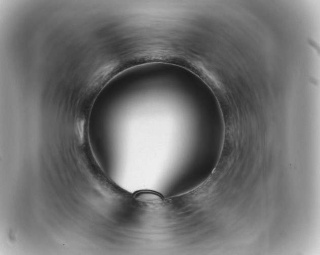 X0000099440070200805091322