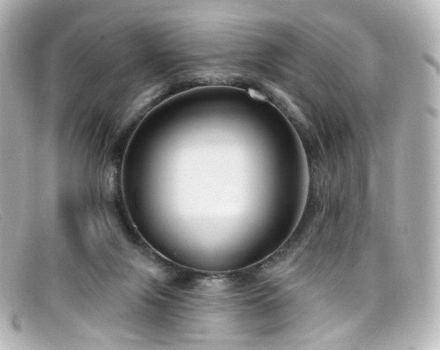 X0000099440071200805091322